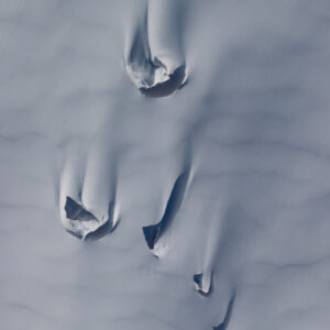 CDT · 46.31 / 7.38 – 002