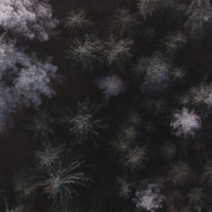 FPR · 46.28 / 7.36 – 004